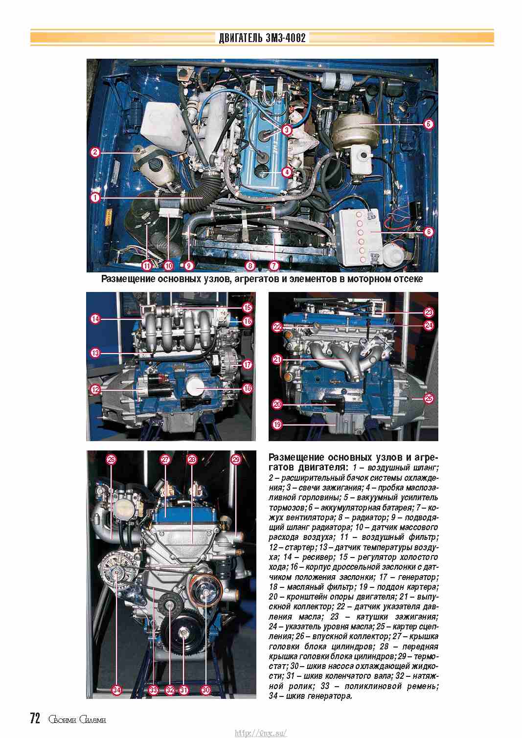 Автомобиль газ диагностика