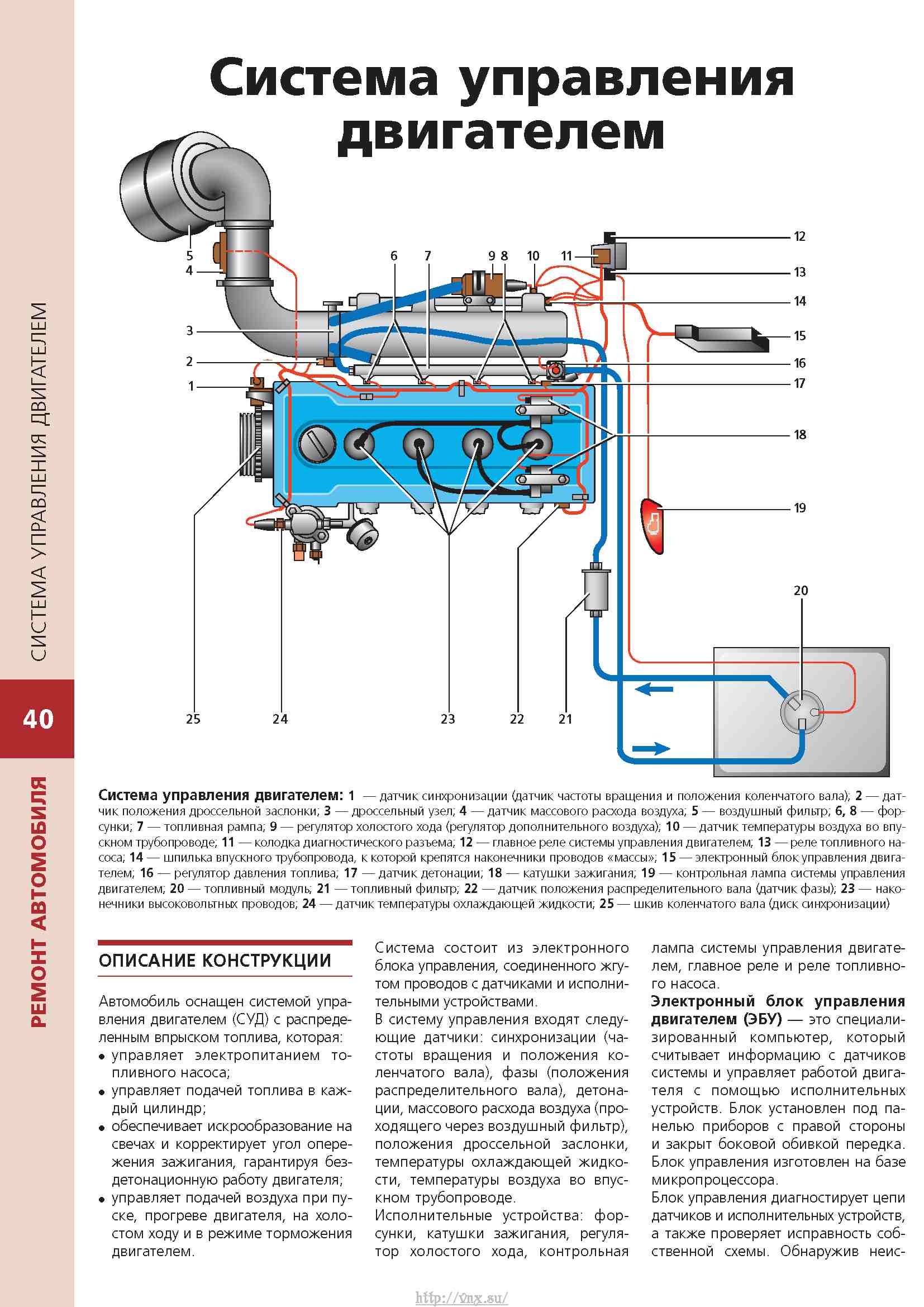 Схема газ 31105 с двигателем 406 инжектор