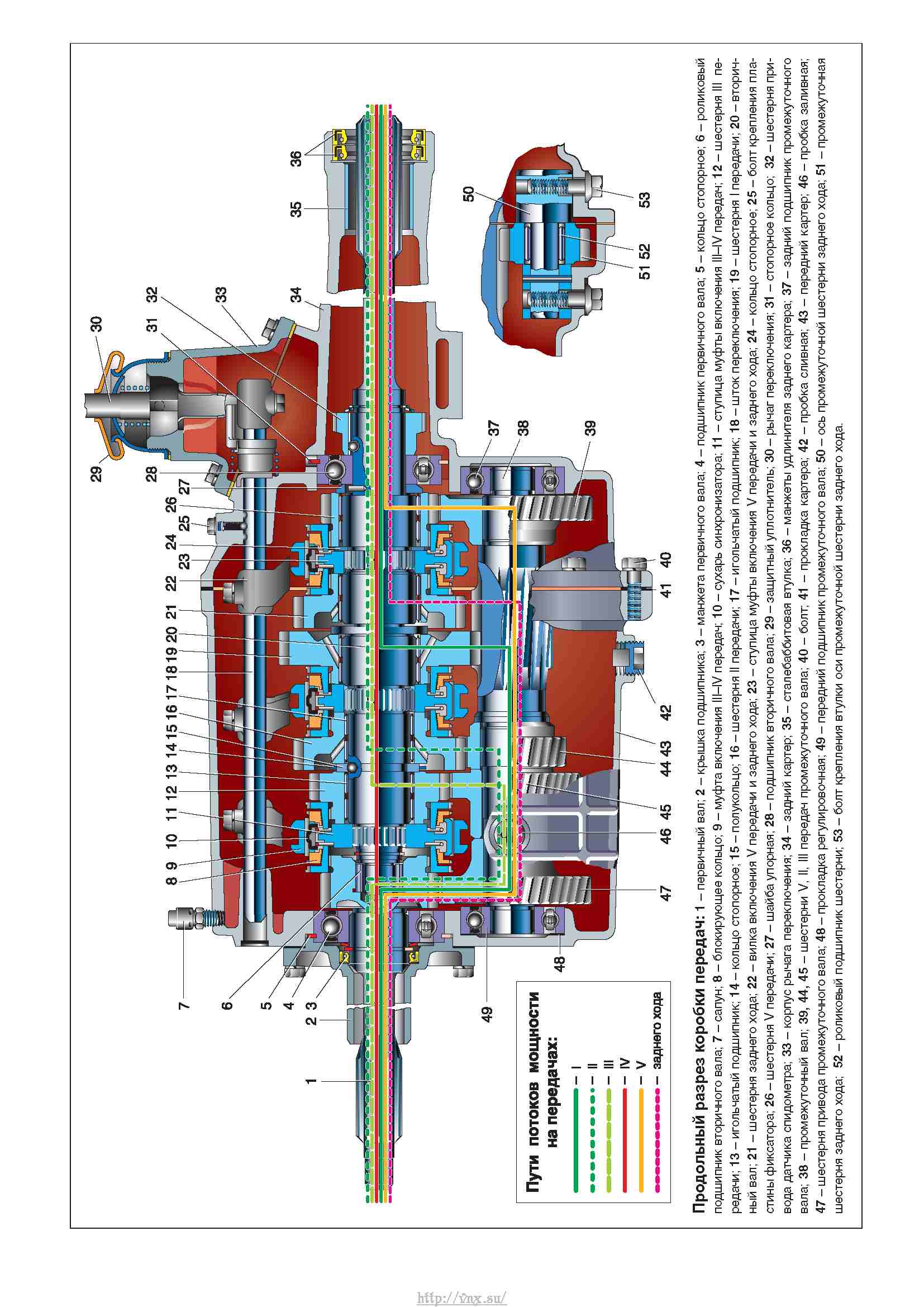 Строение газели схема